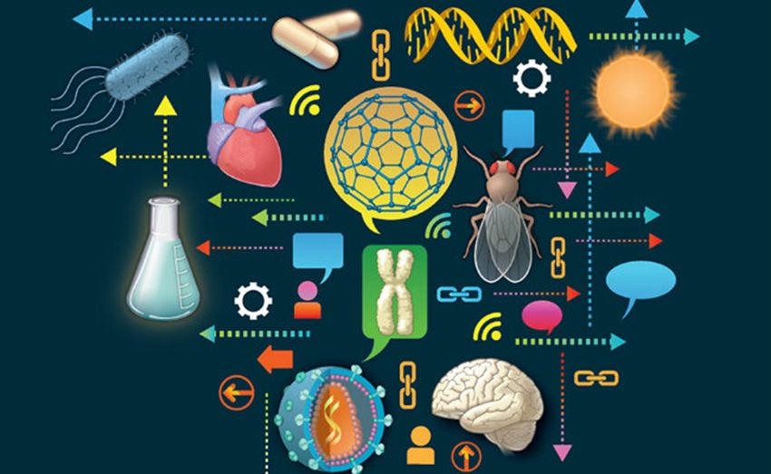 EL IMPACTO DE LA CIENCIA EN LA VIDA DIARIA el blog de